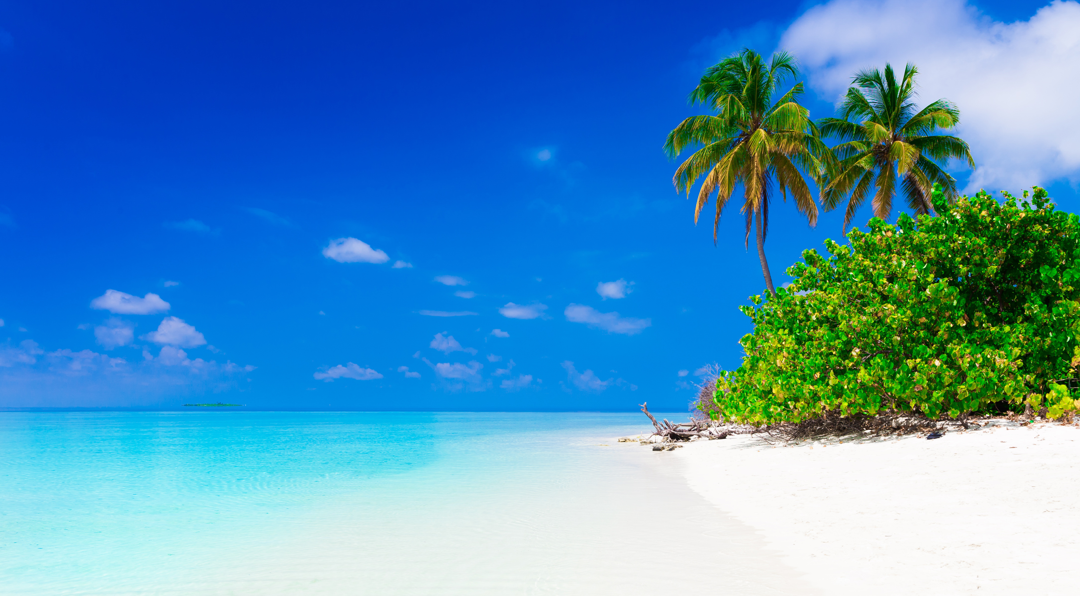 Abu Dhabi & Maldives